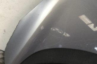 Capot OPEL MERIVA B