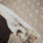 Pare choc avant OPEL AGILA A