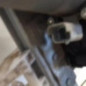 Leve vitre electrique avant gauche PEUGEOT 206