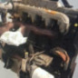 Moteur FORD ESCORT 6