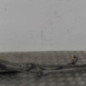 Moteur essuie glace avant CITROEN XSARA