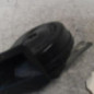 Avertisseur/Klaxon RENAULT SCENIC 2