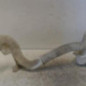 Vase de lave glace CITROEN C3 1