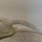 Vase de lave glace CITROEN C3 1