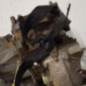 Boite de vitesses CITROEN C15