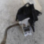 Bouton de coffre RENAULT CLIO 2 CAMPUS