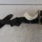 Ceinture avant droit FORD C-MAX 1