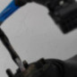 Retroviseur droit RENAULT CLIO 4