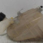 Vase d'expansion RENAULT TWINGO 2