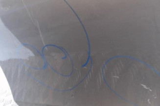 Porte arriere gauche BMW SERIE 1 E87 Photo n°3