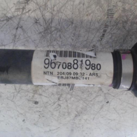 Cardan droit (transmission) CITROEN C4 1