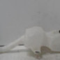 Vase de lave glace FORD KA 2