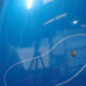 Capot PEUGEOT 307