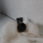 Vase de lave glace CITROEN DS3