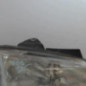 Optique avant principal droit (feux)(phare) PEUGEOT 406