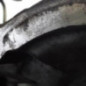 Boite de vitesses CITROEN C15