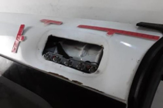 Porte de coffre gauche HYUNDAI H1 2 STAREX Photo n°6