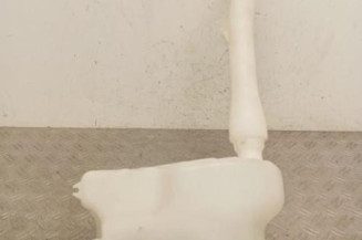 Vase de lave glace RENAULT MASTER 3 Photo n°1