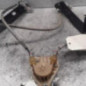 Leve vitre electrique avant gauche DODGE CALIBER