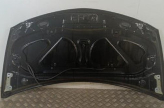 Capot RENAULT CLIO 3