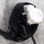 Ceinture avant droit FORD FIESTA 6