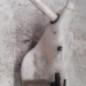 Vase de lave glace RENAULT SCENIC 3