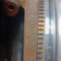 Moteur MERCEDES CLASSE C 202