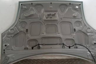 Capot FORD FIESTA 5 Photo n°3