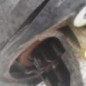 Demarreur FIAT DUCATO 2