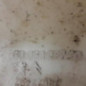 Vase de lave glace PEUGEOT 3008 1