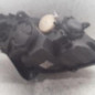 Optique avant principal gauche (feux)(phare) MERCEDES CLASSE B 245