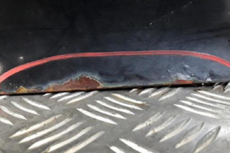 Porte arriere gauche VOLKSWAGEN GOLF 5