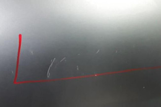 Porte arriere droit NISSAN ALMERA TINO Photo n°3