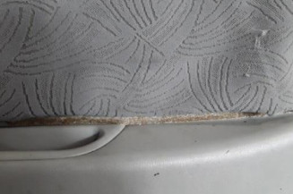 Porte arriere droit NISSAN ALMERA TINO Photo n°8