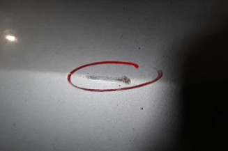 Porte arriere gauche NISSAN ALMERA TINO