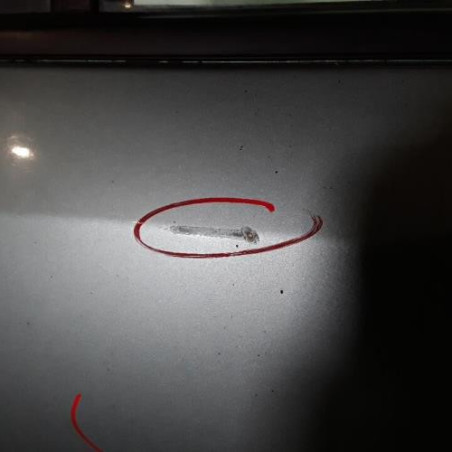 Porte arriere gauche NISSAN ALMERA TINO