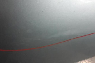 Porte arriere gauche NISSAN ALMERA TINO Photo n°3