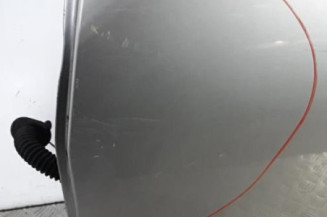 Porte arriere gauche DACIA SANDERO 1
