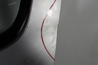 Porte arriere gauche DACIA SANDERO 1 Photo n°3