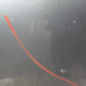 Porte arriere droit SUZUKI SWIFT 3