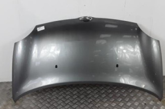 Capot DAIHATSU TREVIS Photo n°1