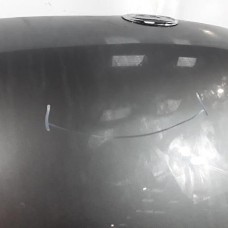 Capot DAIHATSU TREVIS