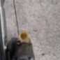 Leve vitre electrique arriere droit RENAULT CLIO 2