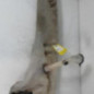 Vase de lave glace PEUGEOT 607