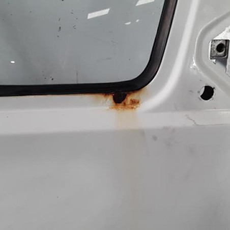 Porte avant droit RENAULT TRAFIC 1