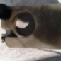 Vase d'expansion RENAULT TWINGO 1