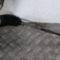 Cremaillere assistee PEUGEOT 5008 1