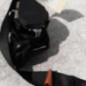 Ceinture avant droit FORD FOCUS 1