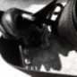 Ceinture avant droit FORD FOCUS 1