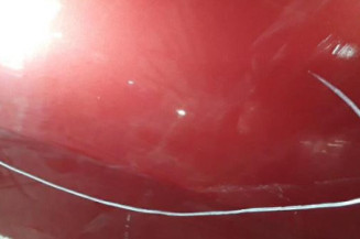 Porte arriere droit DACIA LOGAN 1 Photo n°4